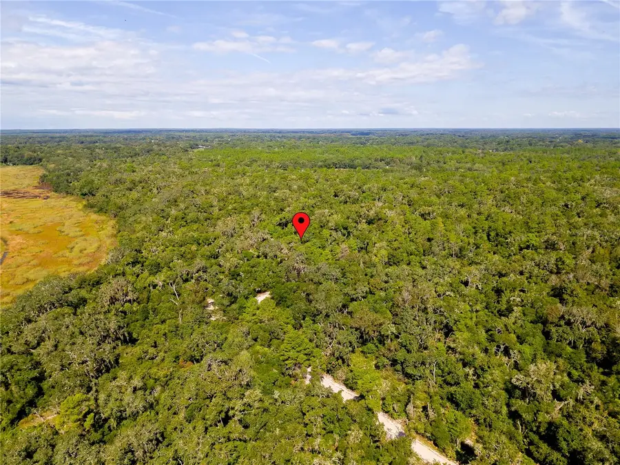 10136 E Tuliptree Drive, Inverness, FL 34450 - #2