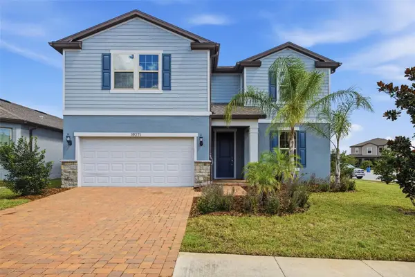 19271 Mossy Pine Drive, TAMPA, FL 33647