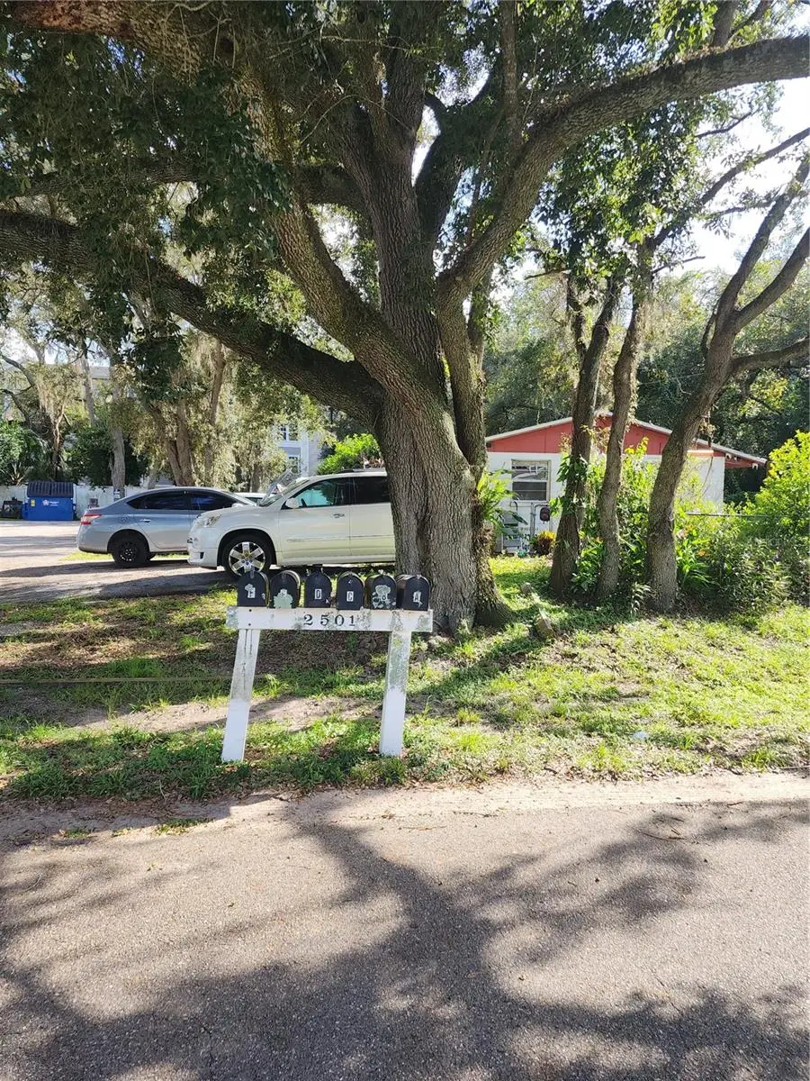 2501 Irene Street, Lutz, FL 33549 - #3