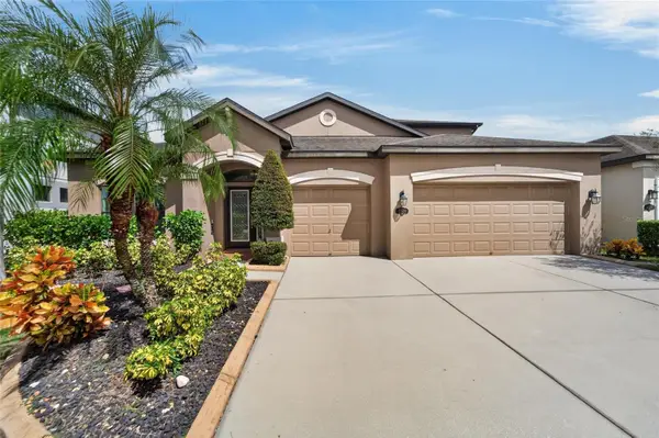 11520 Scarlet Ibis Place, RIVERVIEW, FL 33569