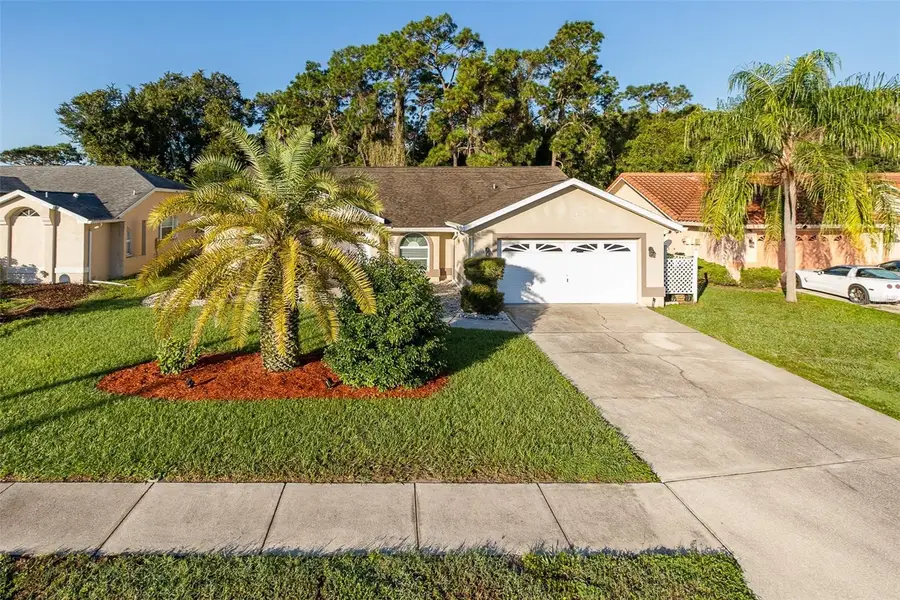 5343 Sagamore Court, New Port Richey, FL 34655 - #3