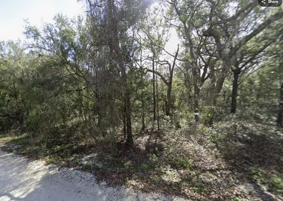 34086 Arrowrock Street, Webster, FL 33597 - #1