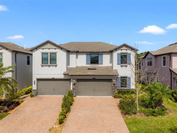 4896 San Martino Drive, WESLEY CHAPEL, FL 33543