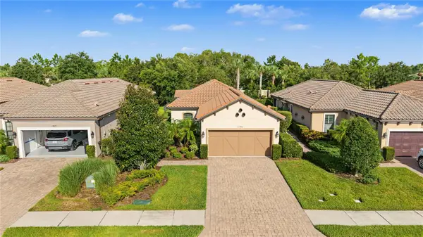 11435 Callisia Drive, ODESSA, FL 33556