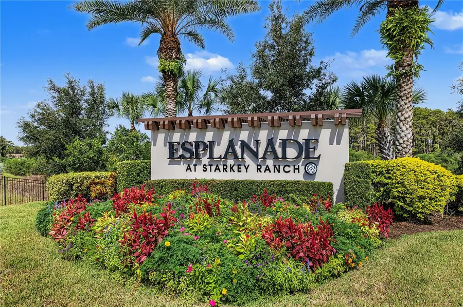 11435 Callisia Drive, Odessa, FL 33556 - #2