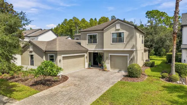 3508 Majestic View Drive, LUTZ, FL 33558
