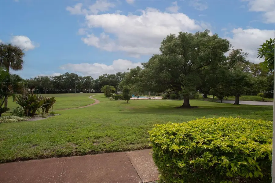 4219 La Sorrento Court, Tampa, FL 33611 - #3