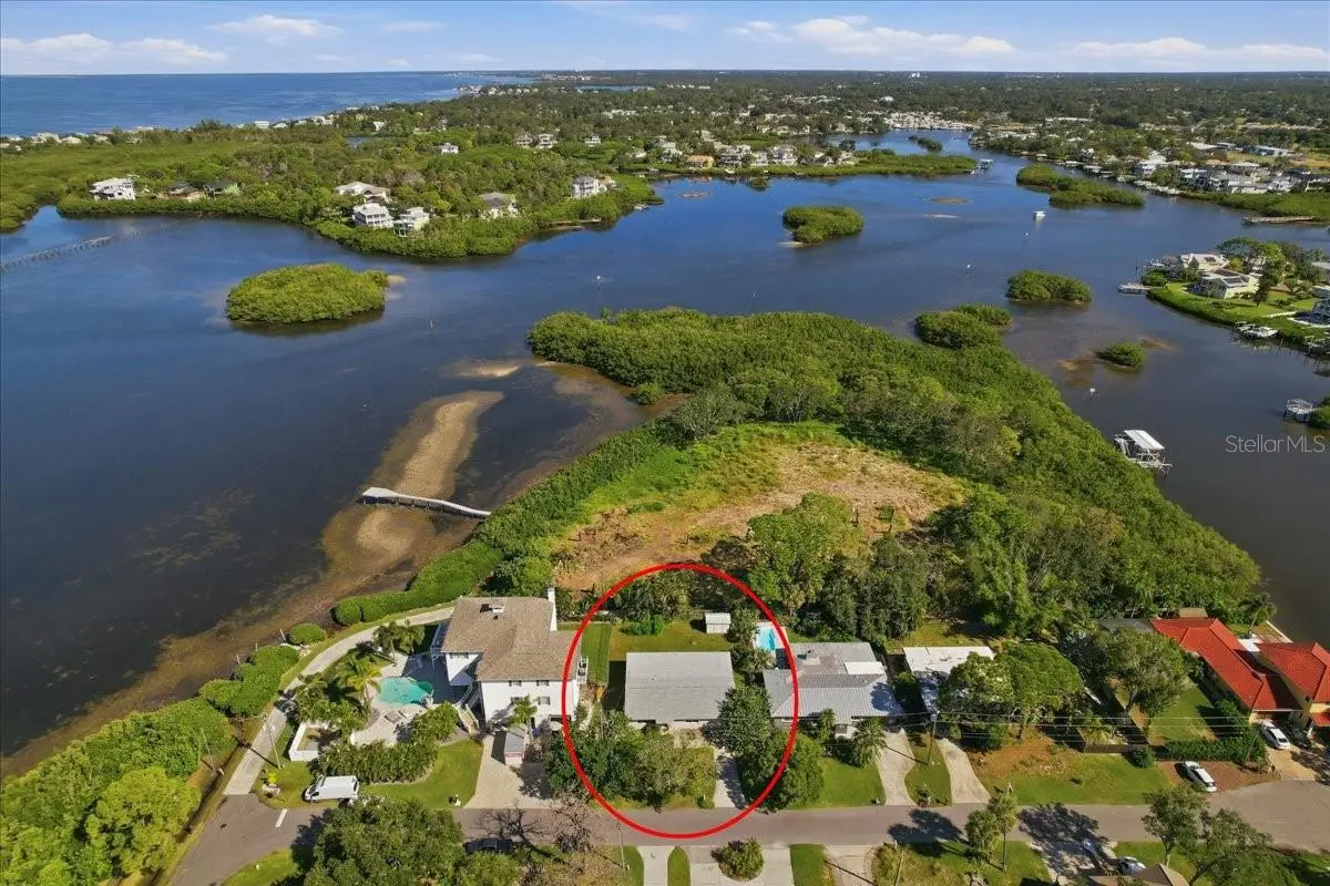 402 Orchid Lane, Palm Harbor, FL 34683 - #1
