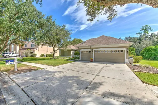 3325 Cypress Landing Drive, VALRICO, FL 33596