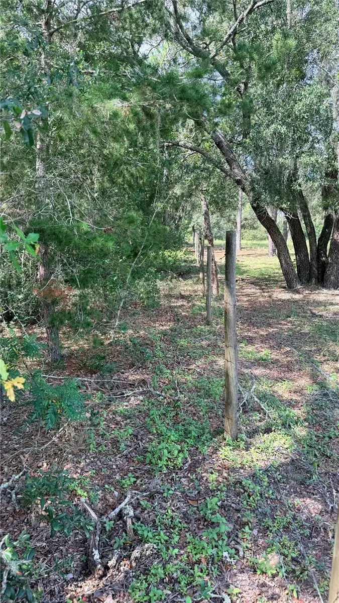 Bowman Road, Spring Hill, FL 34610 - #3