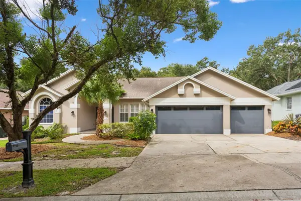 1707 La Forest Avenue, SAFETY HARBOR, FL 34695