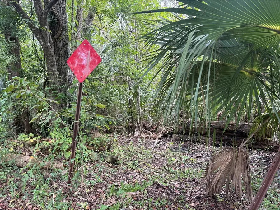 10103 W Main Street, Homosassa, FL 34448 - #3