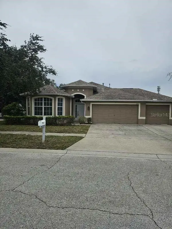 12721 Standbridge Drive, RIVERVIEW, FL 33579