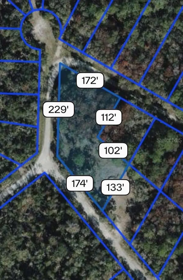 Northwest Avenue, WEBSTER, FL 33597