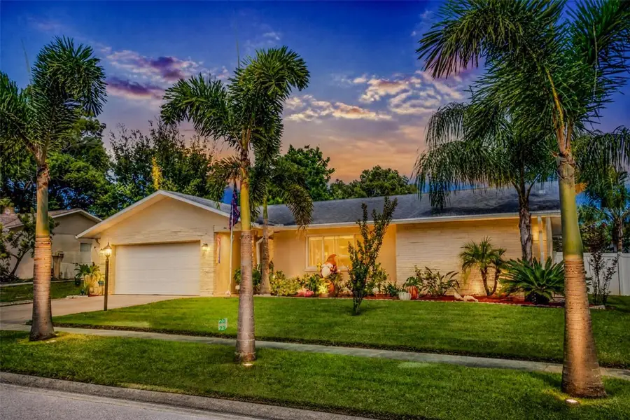 161 Sunward Avenue, Palm Harbor, FL 34684 - #2