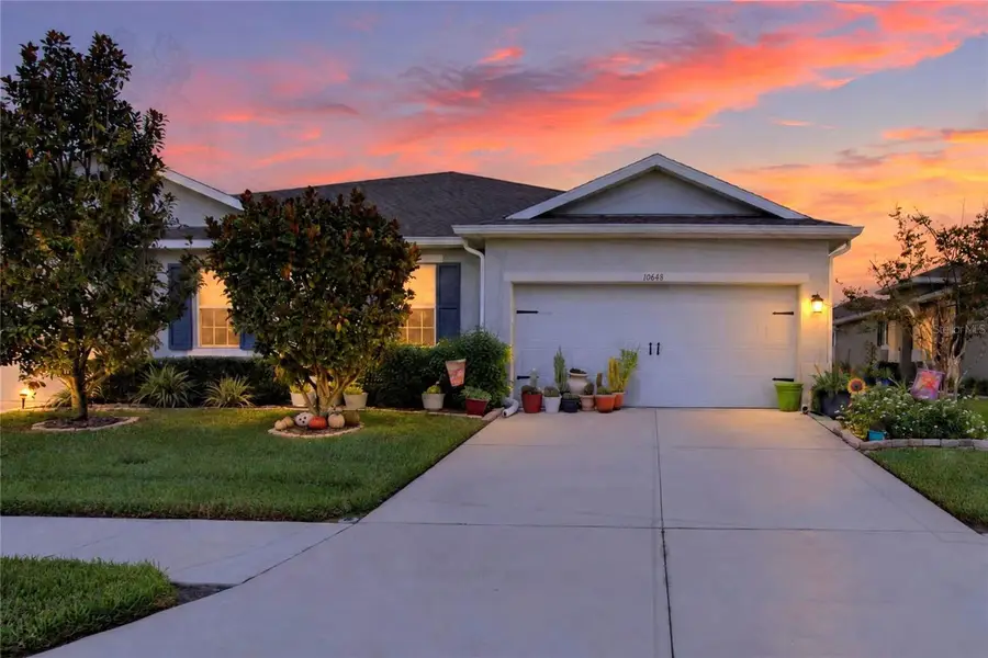 10648 Heron Hideaway Loop, Land O Lakes, FL 34638 - #2
