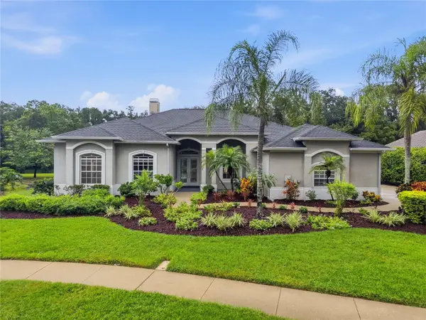 4034 Executive Drive, PALM HARBOR, FL 34685