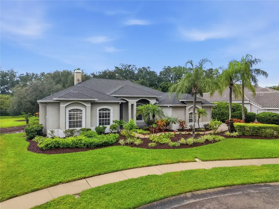 4034 Executive Drive, Palm Harbor, FL 34685 - #3
