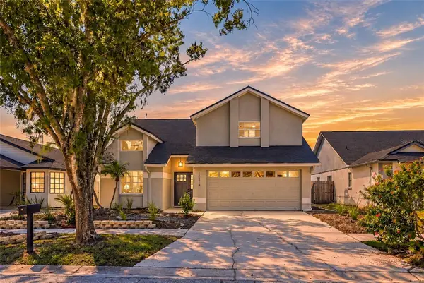 11216 Shadybrook Drive, TAMPA, FL 33625