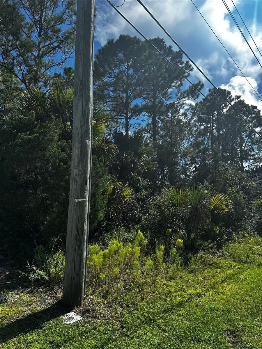 6 Pine Grove Drive, Palm Coast, FL 32164 - #3