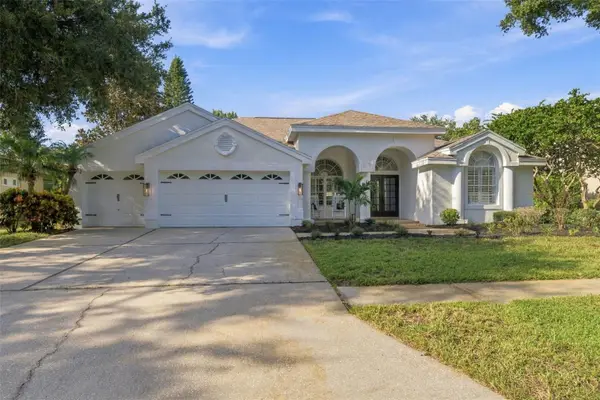 3553 Florian Terrace, PALM HARBOR, FL 34685