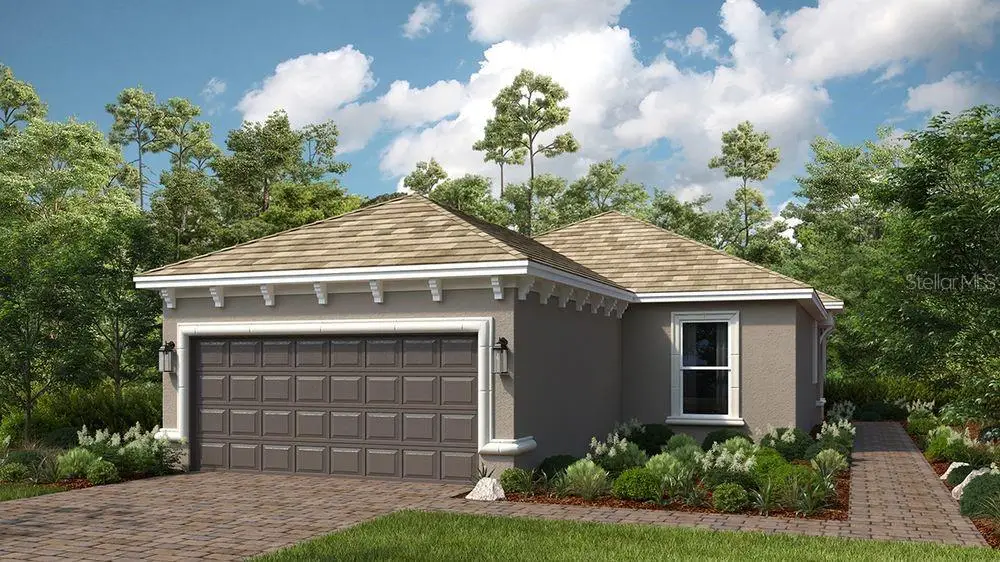 3907 Immacolata Way, Wesley Chapel, FL 33543 - #1