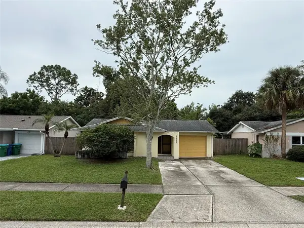 3030 Cypress Green Drive, PALM HARBOR, FL 34684