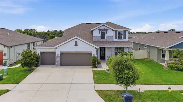 11727 Tetrafin Drive, RIVERVIEW, FL 33579