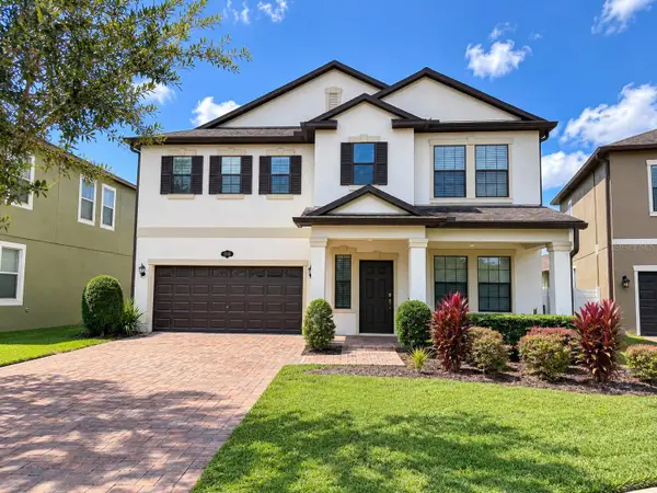 19421 Paddock View Drive, TAMPA, FL 33647