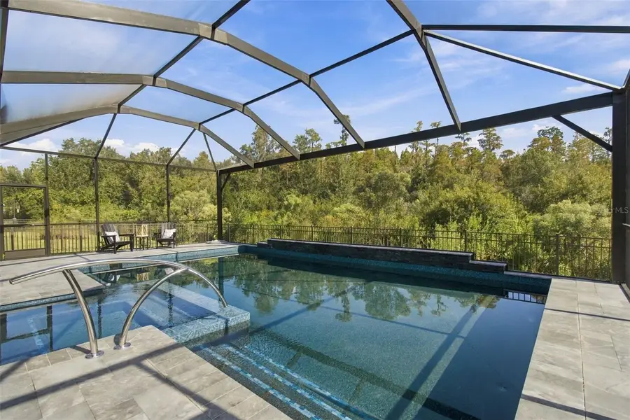 29749 Cassino Court, Wesley Chapel, FL 33543 - #2