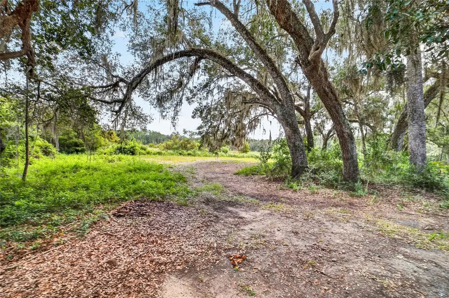 5686 E Highway 316, Citra, FL 32113 - #3