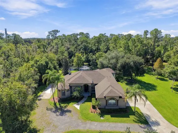 13887 Gavin Road, DOVER, FL 33527