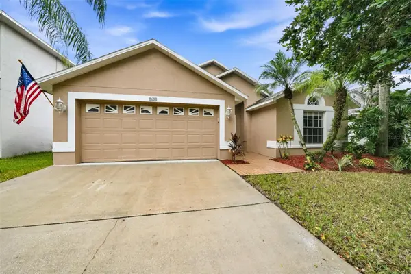 8608 Buttonbush Court, TAMPA, FL 33647