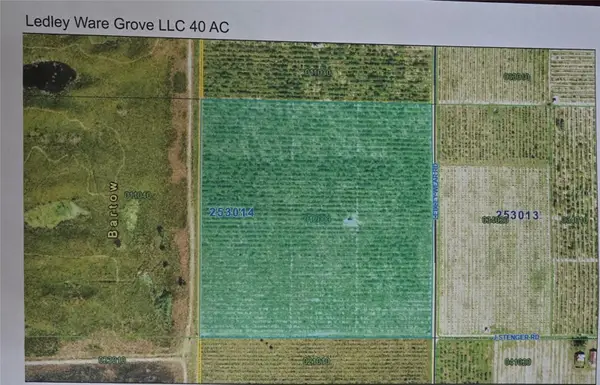 Lot 1 & 2 Ledly Wear Road, BARTOW, FL 33830