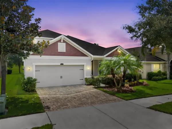 12319 Eagle Swoop Place, RIVERVIEW, FL 33579
