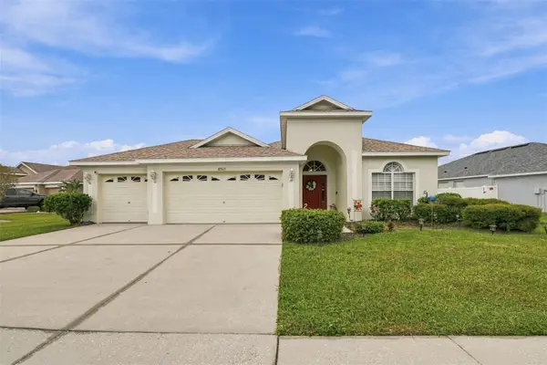 10915 Australian Pine Drive, RIVERVIEW, FL 33579