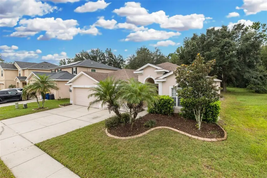 5815 Justicia Loop, Land O Lakes, FL 34639 - #2