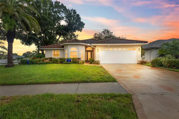 4897 Harbor Woods Drive, PALM HARBOR, FL 34683