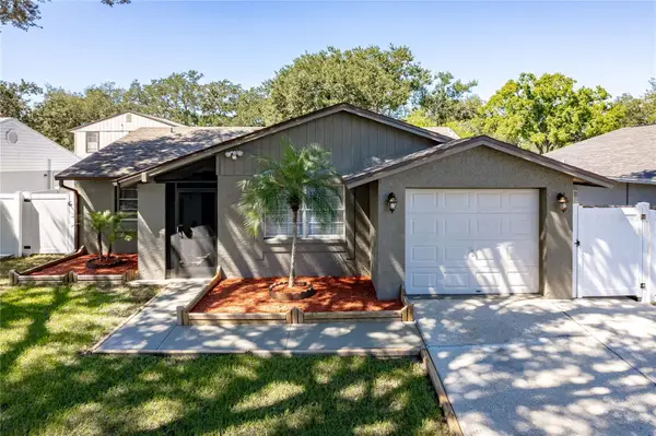3105 Sandspur Drive, TAMPA, FL 33618