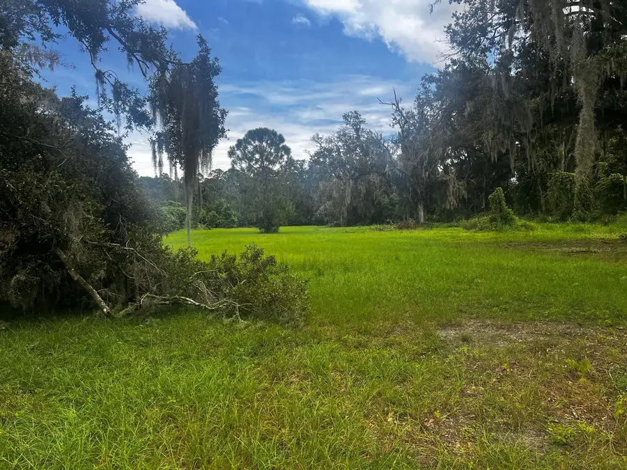 1308 N Shannon Avenue, Plant City, FL 33563 - #2
