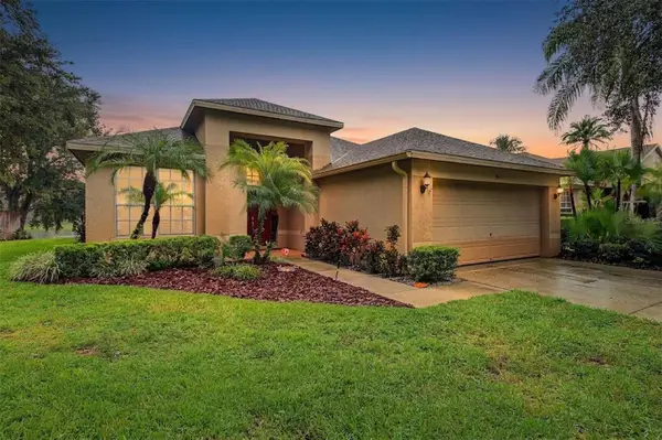 8417 Fenwick Avenue, TAMPA, FL 33647