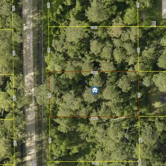 10th Avenue, Deland, FL 32724 - #2