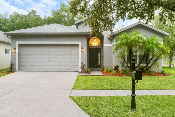 8201 Cypress Breeze Way, TAMPA, FL 33647