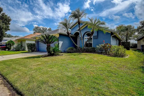 1709 Scotch Pine Drive, BRANDON, FL 33511