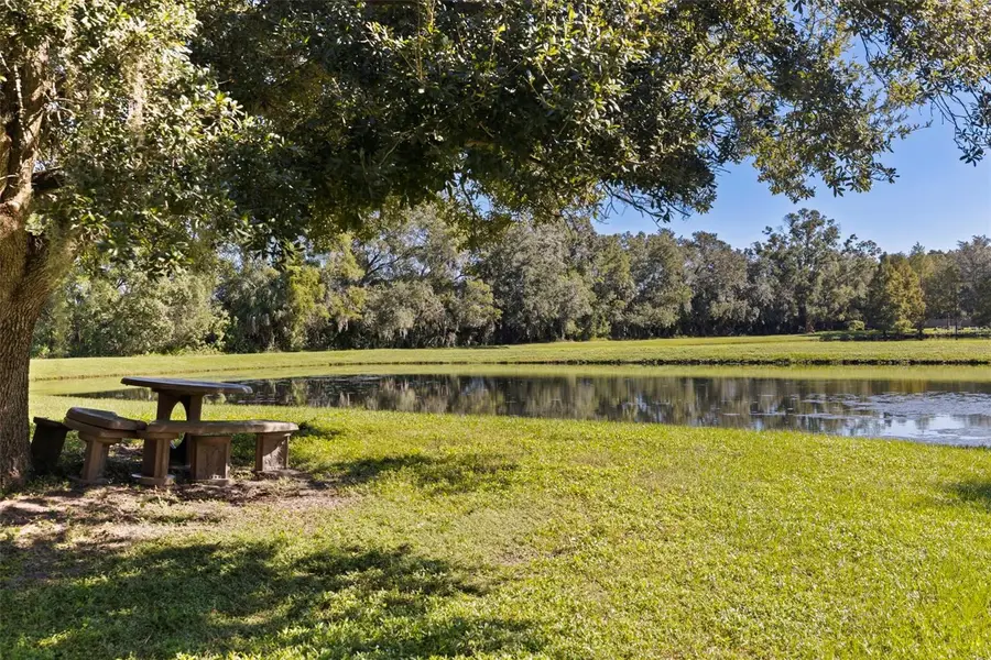 4758 Whispering Wind Avenue, Tampa, FL 33614 - #2