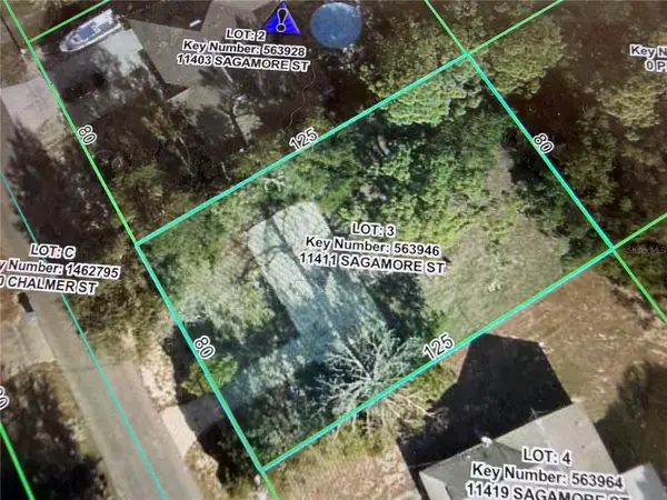 11411 Sagamore Street, SPRING HILL, FL 34609
