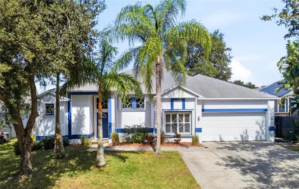 1187 Blackrush Drive, TARPON SPRINGS, FL 34689