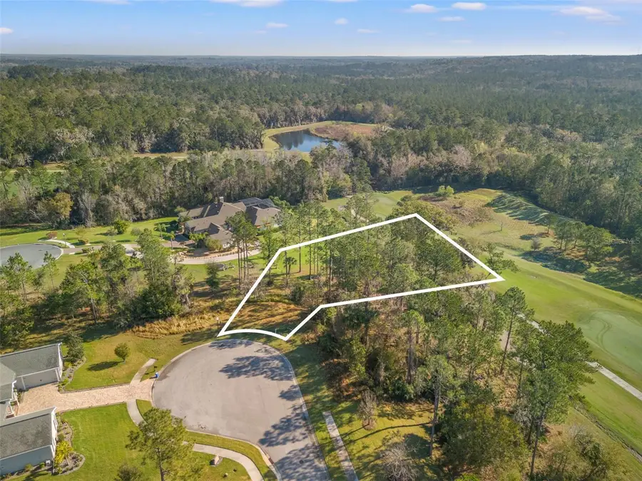 20132 English Walnut Place, Brooksville, FL 34601 - #2