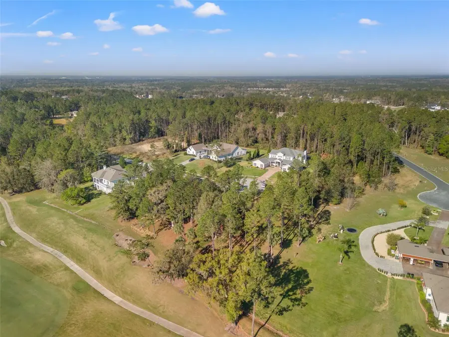 20132 English Walnut Place, Brooksville, FL 34601 - #3