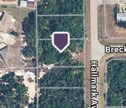 228 Hallmark Avenue, Lake Placid, FL 33852 - #1